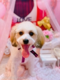 ȥߥ󥰥ƥ-LUNA-