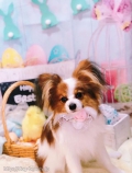 ȥߥ󥰥ƥ-LUNA-