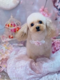 ȥߥ󥰥ƥ-LUNA-