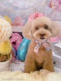 ȥߥ󥰥ƥ-LUNA-