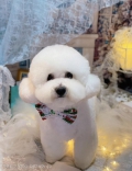 ȥߥ󥰥ƥ-LUNA-