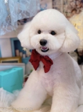 ȥߥ󥰥ƥ-LUNA-