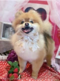 ȥߥ󥰥ƥ-LUNA-