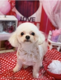ȥߥ󥰥ƥ-LUNA-