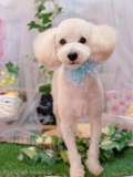 ȥߥ󥰥ƥ-LUNA-