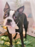 ȥߥ󥰥ƥ-LUNA-