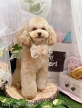 ȥߥ󥰥ƥ-LUNA-