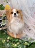 ȥߥ󥰥ƥ-LUNA-