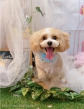 ȥߥ󥰥ƥ-LUNA-