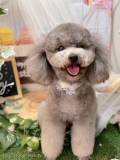 ȥߥ󥰥ƥ-LUNA-