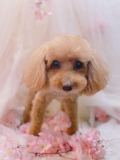 ȥߥ󥰥ƥ-LUNA-