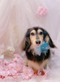 ȥߥ󥰥ƥ-LUNA-