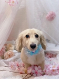 ȥߥ󥰥ƥ-LUNA-