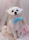 ȥߥ󥰥ƥ-LUNA-