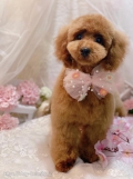 ȥߥ󥰥ƥ-LUNA-