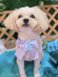 ȥߥ󥰥ƥ-LUNA-