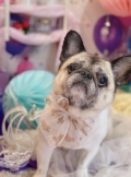 ȥߥ󥰥ƥ-LUNA-