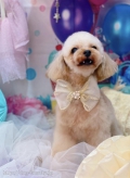 ȥߥ󥰥ƥ-LUNA-