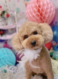 ȥߥ󥰥ƥ-LUNA-