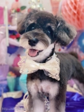 ȥߥ󥰥ƥ-LUNA-