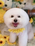 ȥߥ󥰥ƥ-LUNA-