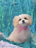 ȥߥ󥰥ƥ-LUNA-