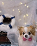 ȥߥ󥰥ƥ-LUNA-