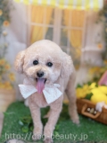 ȥߥ󥰥ƥ-LUNA-