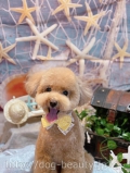 ȥߥ󥰥ƥ-LUNA-