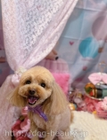 ȥߥ󥰥ƥ-LUNA-