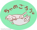 ᤴDOGWAYS