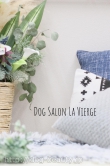 Dog Salon La Vierge