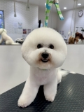 û��ޤ�ޤ�ӥ���󥫥å�