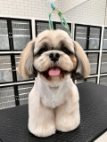 �դ���ޤ�äȥ��å�