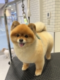 �ޤ�ޤ뤿�̤����å�
