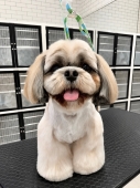 �դ���ޤ�äȥ��å�