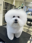 �դ���ӥ���󥫥å�