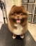 �ޤ�ޤ뤯�ޤ��󥫥å�