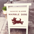 MARBLE DOG