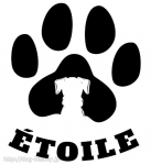 ETOILE