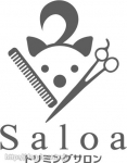 ȥߥ󥰥  Saloa