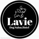 Lavie