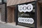 dog hotel & salon cocoro