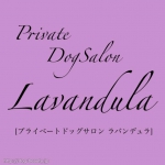 Private DogSalon Lavandula