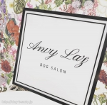 dog salon Anvy laz