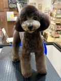 ���뤯��ξ���Ƭ�礭�ᥫ�åȢ�