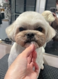 �������ݤ���Υƥǥ��٥����åȡ�