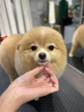 ���̤����åȡ�