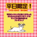 ʿꡪȥߥ󥰤ˤƤ줿餪ĥաɥץץ쥼