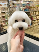 ��֤����Τޤ�ݥ��åȢ�